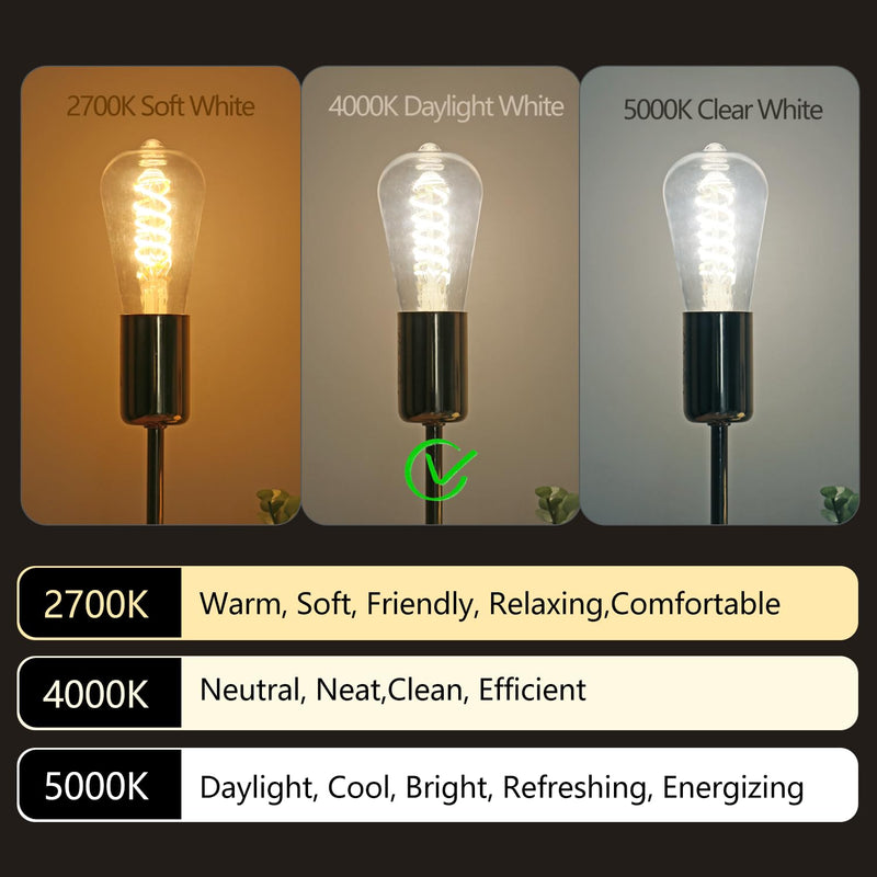 12 Pack Shtterproof Vintage LED Edison Bulbs, Led Light Bulb 60W Equivalent, Non-Dimmable Led Bulbs, High Brightness 700 LM Neutral White 4000K, ST58 Antique Filament Bulbs CRI 80. Neutral White 4000k 12pack