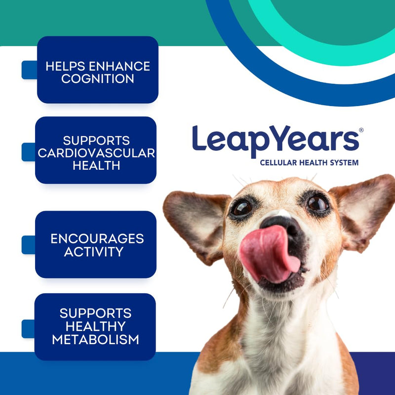 Leap Years Soft Chew Dog Supplement – Supports Healthy Aging, Cognition & Vitality; Veterinarian-Formulated for Brain, Heart & Muscle Health; Powerful NAD+ Boosting & Senolytic Formula, Patent-Pending Small/Medium Breed (less than 54 lbs) - PawsPlanet Australia
