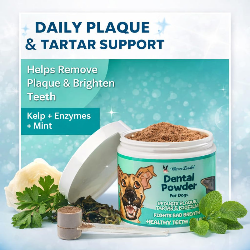 Warren London Premium Dental Powder for Dogs – Fresh Breath & Tartar Support with Kelp Astaxanthin Green Tea & Mint – Daily Oral Care Supplement for Teeth & Gums – Made in USA 60g