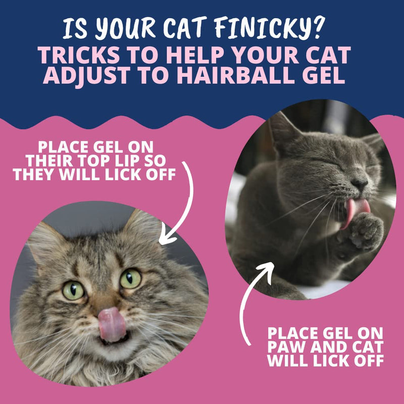 Under the Weather Hairball Gel for Cats | Vet Formulated Hairball Remedy Gel for Cats | Supports and Aids Normal & Natural Elimination of Hairballs in Adult Felines | 3.5 Ounces