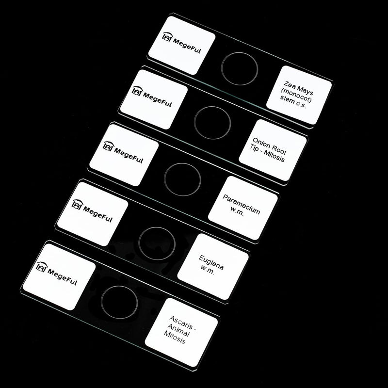 Prepared Microscope Slides for Apologia Biology Series, 16PCS Microscope Slides Set Includes Various Types Samples for Biology Course
