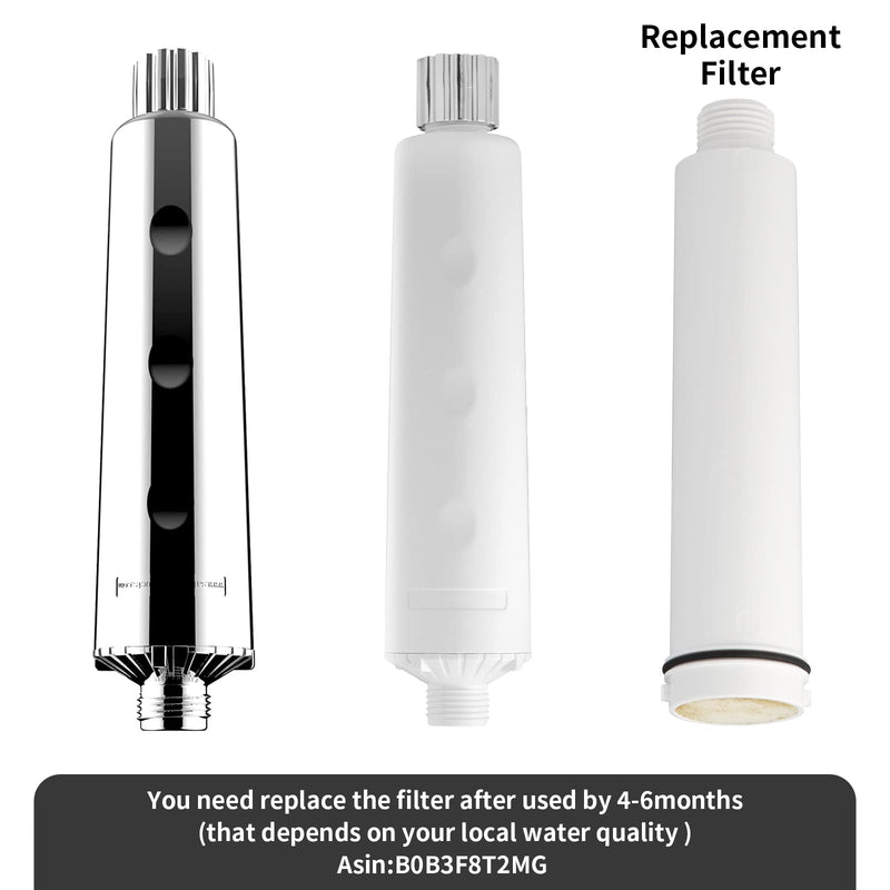 legionela in-Line Shower Head Filter