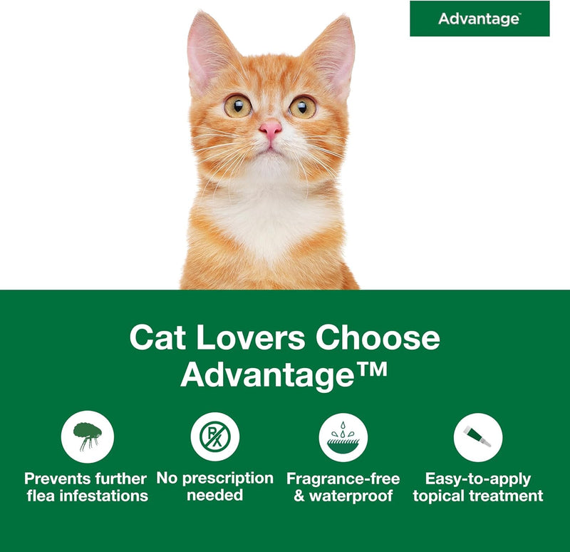 Bundle of Advantage Topical Cat Flea Treatment and Prevention for Small Cats 2-9 lbs. + Advantage Household Fogger for Home | 2 oz. Canisters (Pack of 3) Small Cat + Fogger