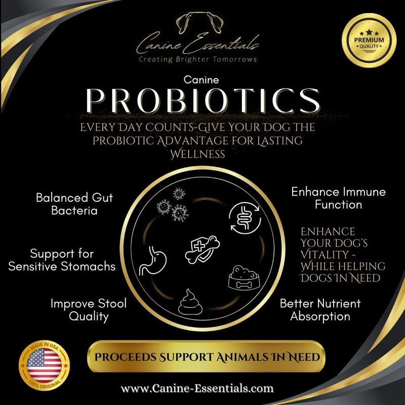 Probiotics for Dogs – Duck Flavour – Approx. 90 Chews, 8 oz – Digestive & Immune Support Supplement – Human-Grade Ingredients – Supports Animals in Need