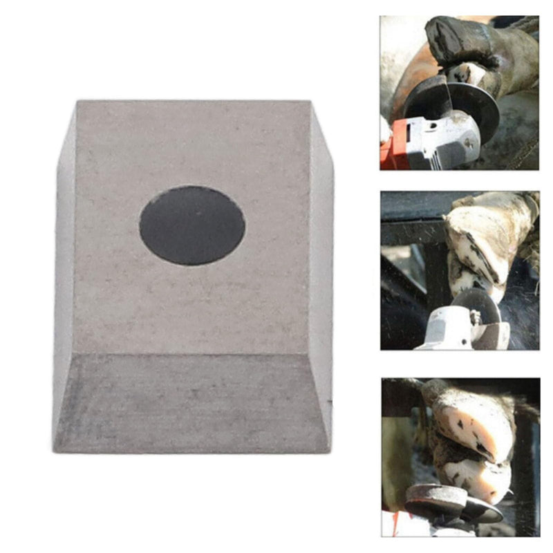 Stainless Steel Cattle Hoof Trimming Blade Cutter Disc Accessory for Livestock Care - PawsPlanet Australia