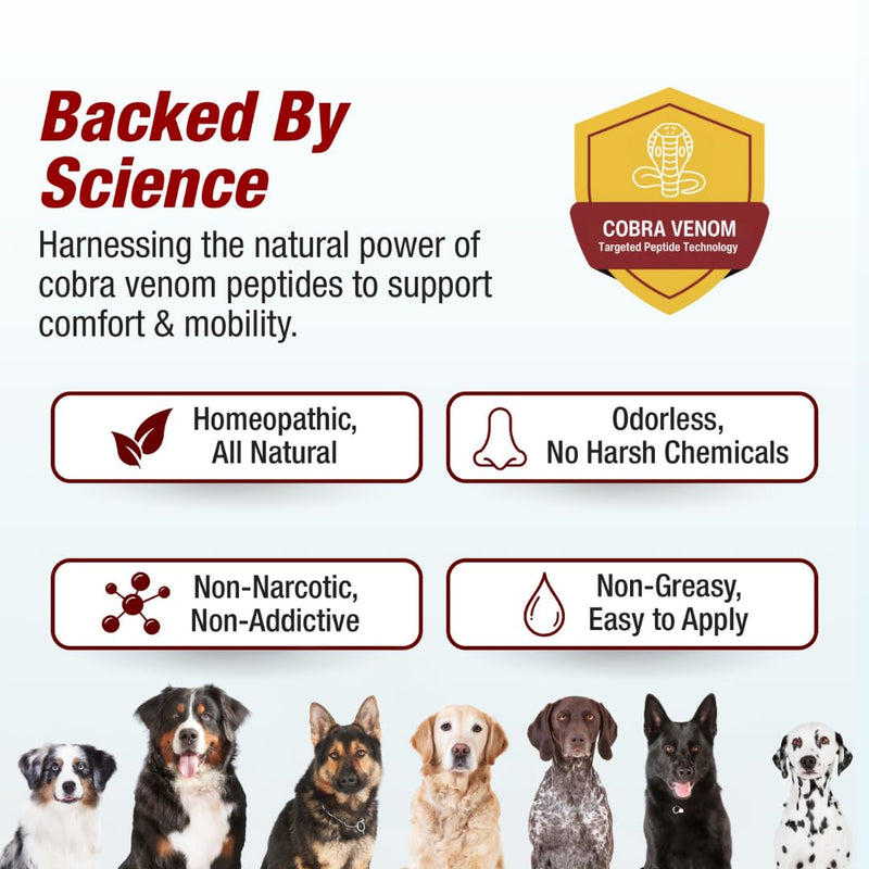 Pet Pain Away All Natural Dog Arthritis Pain Relief Gel, Cat Pain Relief, Dog Pain Relief Anti Inflammatory, Dog Joint Pain Relief, Homeopathic Pain Reliever for Large and Small Dogs and Cats (2-Pack) 2