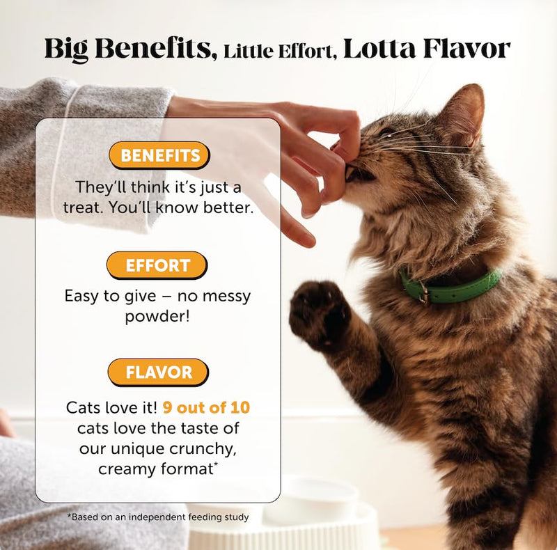 Cat Immune Support Lysine – Allergy Relief & Immune Health Supplement for Cats with L-Lysine, Colostrum, Quercetin & Omega-3 – Soothes Sneezing, Runny Nose & Itchy Skin Chicken, (90-Day Supply) Chicken - Cat 90-Day Supply