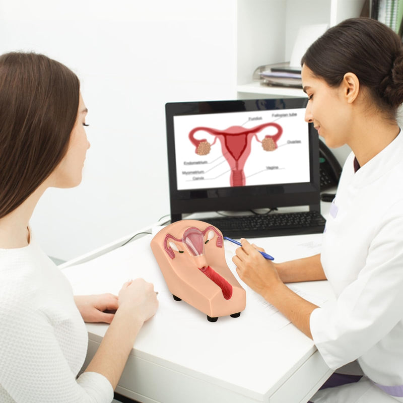 SimCoach Intrauterine Device Training Kit, IUD Training Model, Female Intrauterine Contraceptive Device Simulator Trainer