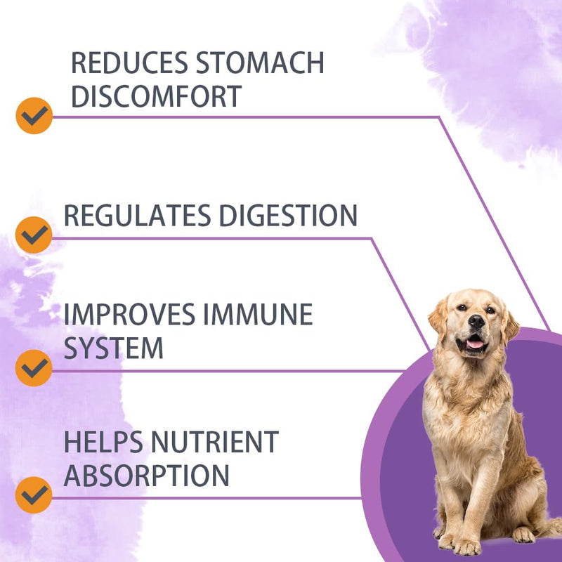 Dog Probiotic Chews 120 Count – 6 Billion CFU, 6 Strains + EpiCor Postbiotics & Pumpkin Fiber for Gut Health, Allergy & Yeast Support, Immune Boost, Duck Flavor, All Breeds