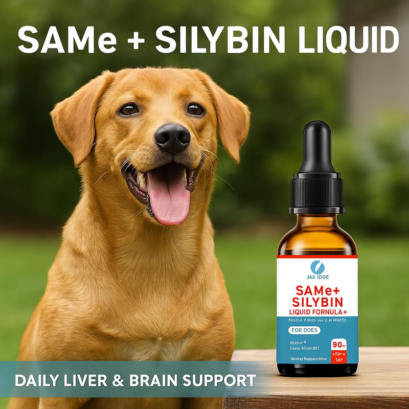 SAMEe for Dogs 500mg Liquid Drops with Silybin – Bacon Liver Flavored Liver Support Supplement for Dogs – S-Adenosyl Methionine & Milk Thistle Extract – 30ml (1oz) 1 Fl Oz(Pack of 1)