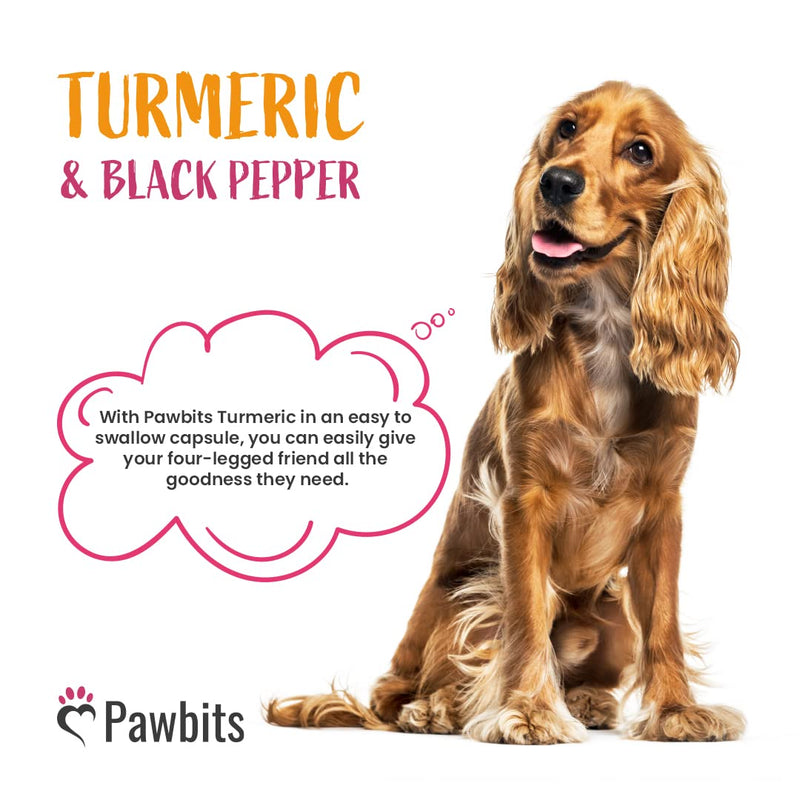 180 Turmeric for Dogs with Active Bioperine Black Pepper | Natural Premium Turmeric Curcumin Capsules suitable for Cats, Horses & Pets Powerful Antioxidant Supplement for Hip & Joints 180 Capsules - PawsPlanet Australia
