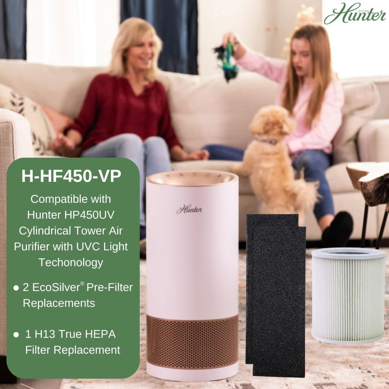 Hunter H-HF450-VP Filter Value Pack with EcoSilver Pre-Filter for HP450UV