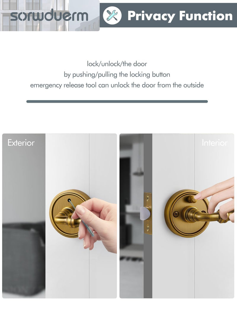 1 Pack Antique Brass Glass Door Lever Privacy Crystal Door Levers Door Lever Interior Door Handle for Bedroom and Bathroom,Zinc Alloy 1