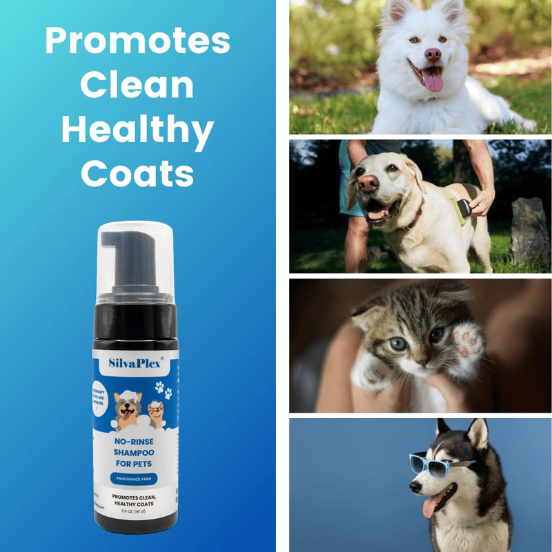 No Rinse Deodorizing Dry Pet Shampoo Plus Conditioner Foam for Dogs and Cats, Waterless Cleanse Enhanced with AG21 Chitosan-Silver Natural Coat Refresh, 5 Oz - PawsPlanet Australia