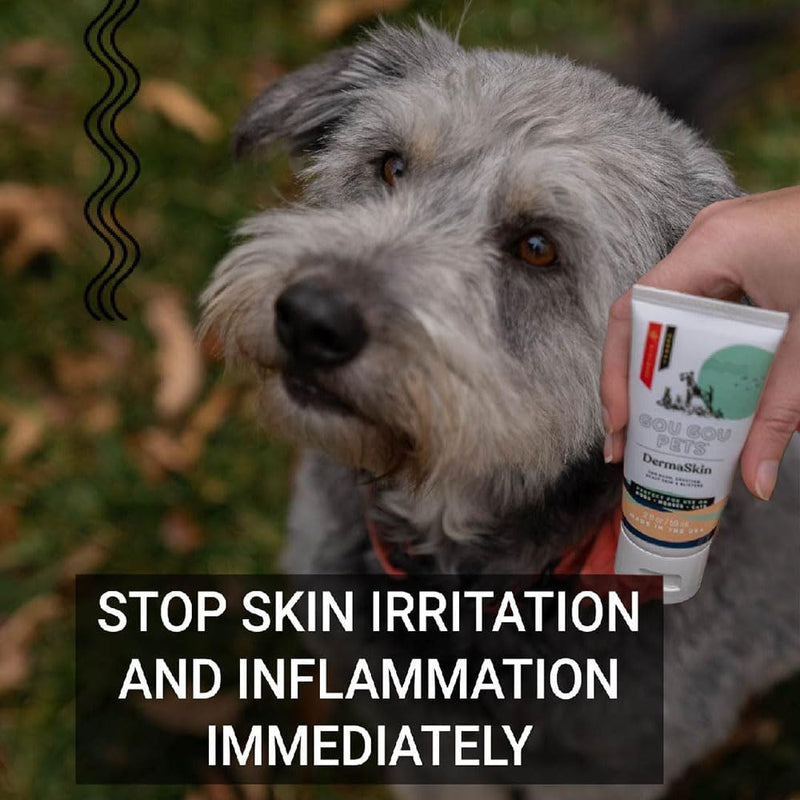 DermaSkin Dermatitis Ointment Holistic Natural Derived Herbal Pet Care for Dogs, Cats and Horses: Relieves Rash, Crusting, Dry Skin, Skin Problems and Skin Conditions - Made in USA - 2 oz 2oz