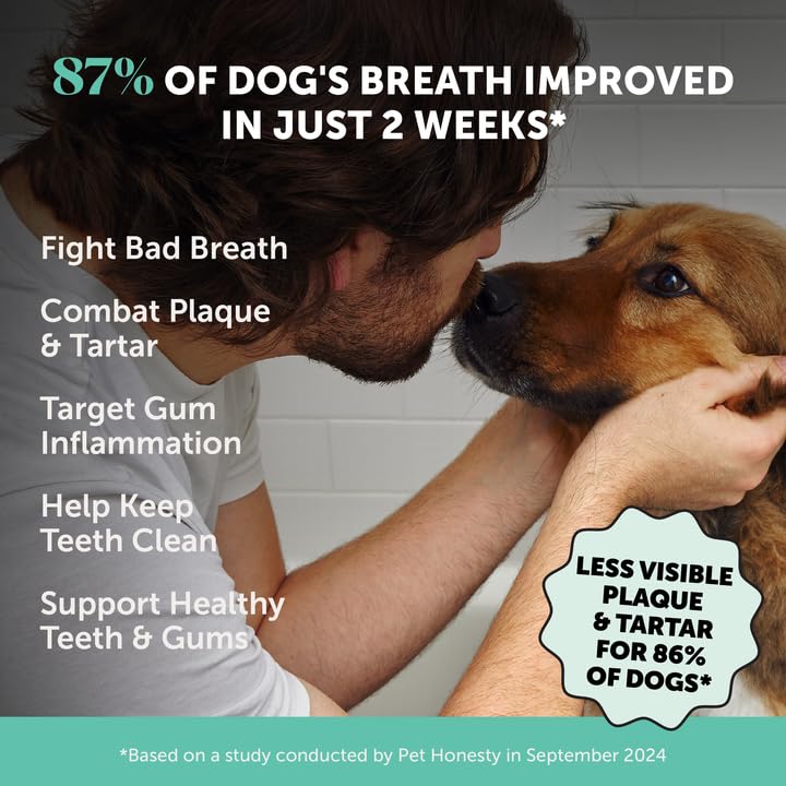 Pet Honesty Dog Dental Care Virtual Bundle – Breath Freshener Dental Powder for Large Dogs (60 Servings) + Brush Buddies Dental Sticks for Medium Dogs (15 Ct) – Teeth Cleaning, Plaque & Breath Support