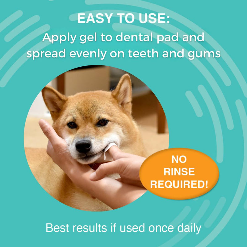 Nootie Dental Gel and 60 Count Dental Wipe Bundle - PawsPlanet Australia