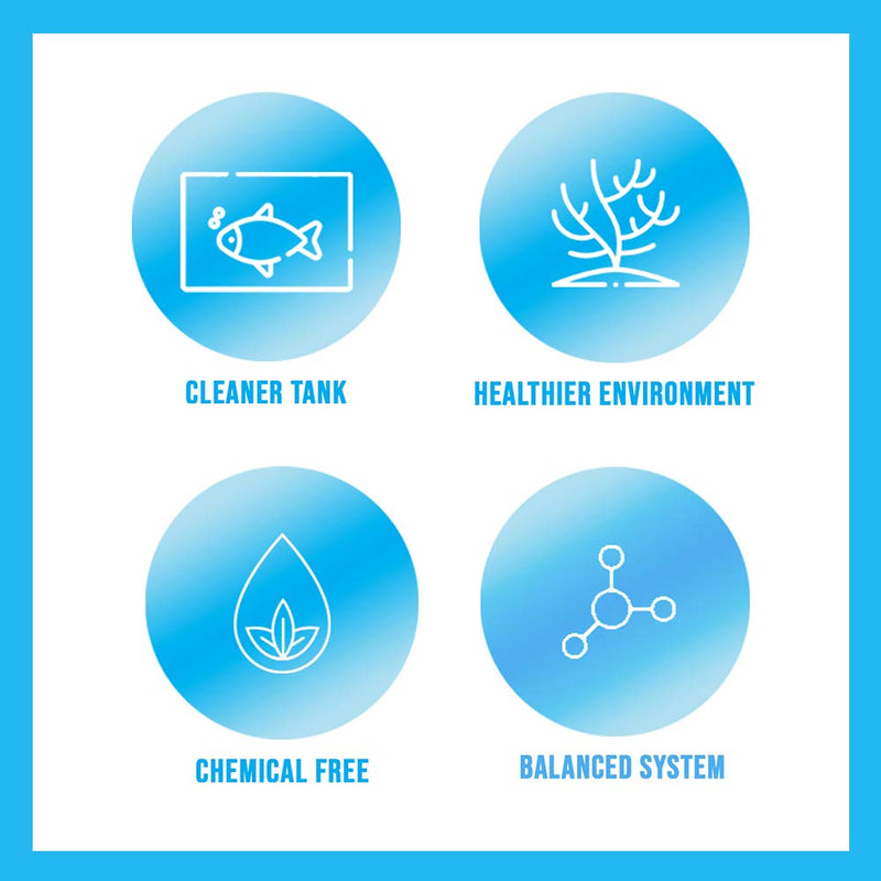MICROBE-LIFT Special Blend Aquarium Treatment, Fish Tank Water Conditioner for Freshwater and Saltwater Tanks, Helps with Aquarium Algae Control and Odor, 4 Ounces (SBH04)