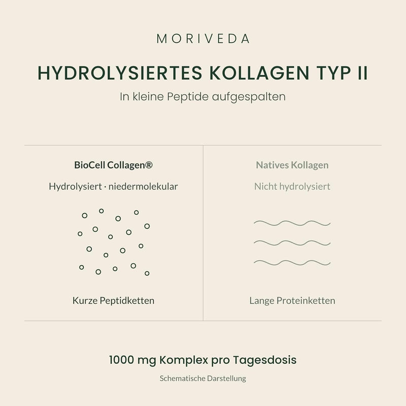 Biocell 60 Collagen-II Hyaluronic Acid Capsules - Highly Concentrated Formula 1000mg/Day (1x60) - NewNest Australia