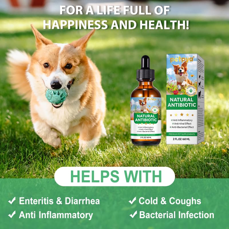 Antibiotics for Dogs, Natural Antibiotics for Dogs, Dog Antibiotics for Infection Supports Immune & Dogs Allergy Relief, Dog Multivitamin UTI Drops Natural Supplement for All Ages & Breeds 1PCS