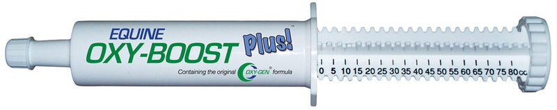 Oxy-Gen Oxy-Boost Probiotic Electrolyte Paste for Horses | Contains Vitamin E, Omega 3, Omega 6 and Octacosanol For Enhanced Performance | 80cc Paste (4 Doses)| Made in USA