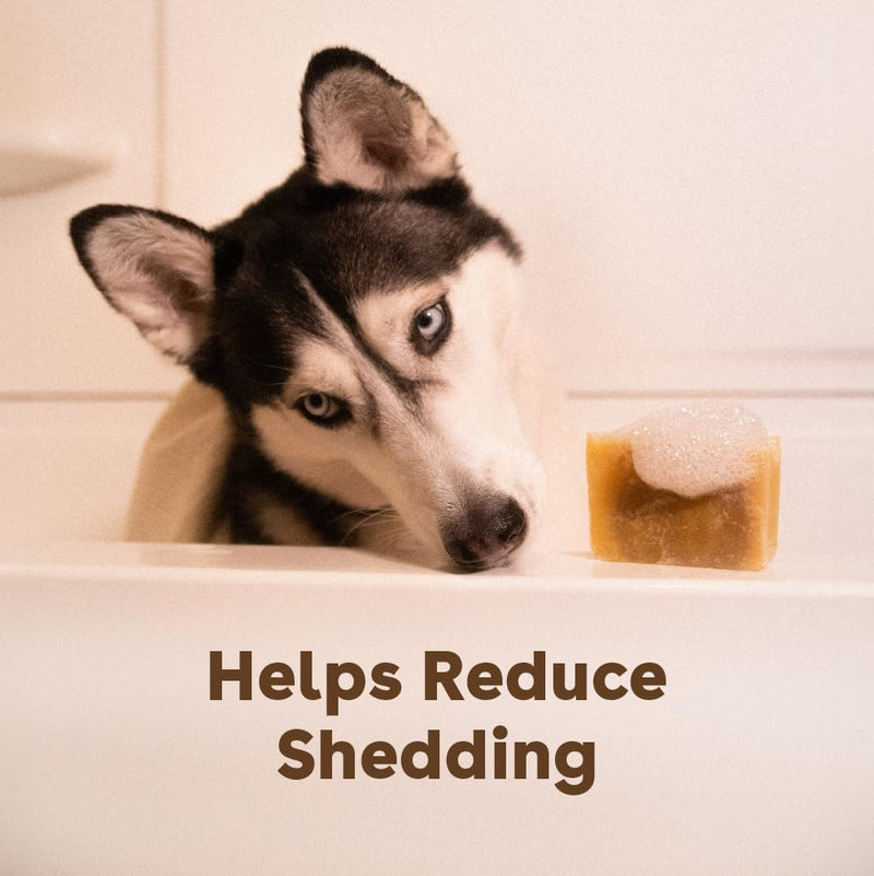 Pupford Sudsy Shampoo Bar for Dogs (Original) Original - PawsPlanet Australia