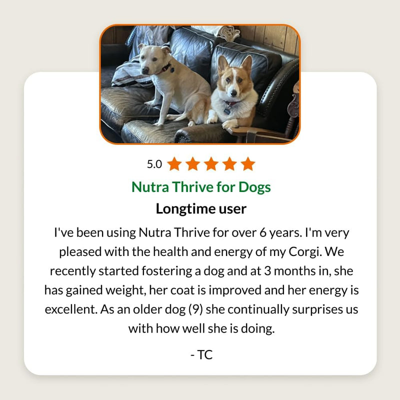 ULTIMATE PET NUTRITION Nutra Thrive™ Canine 40 in 1 Nutritional Supplement for Dogs, Powder Supplement for Dogs, Digestion and Immune Support, Vitamins, Minerals, Probiotics, Enzymes, 30 Servings - NewNest Australia