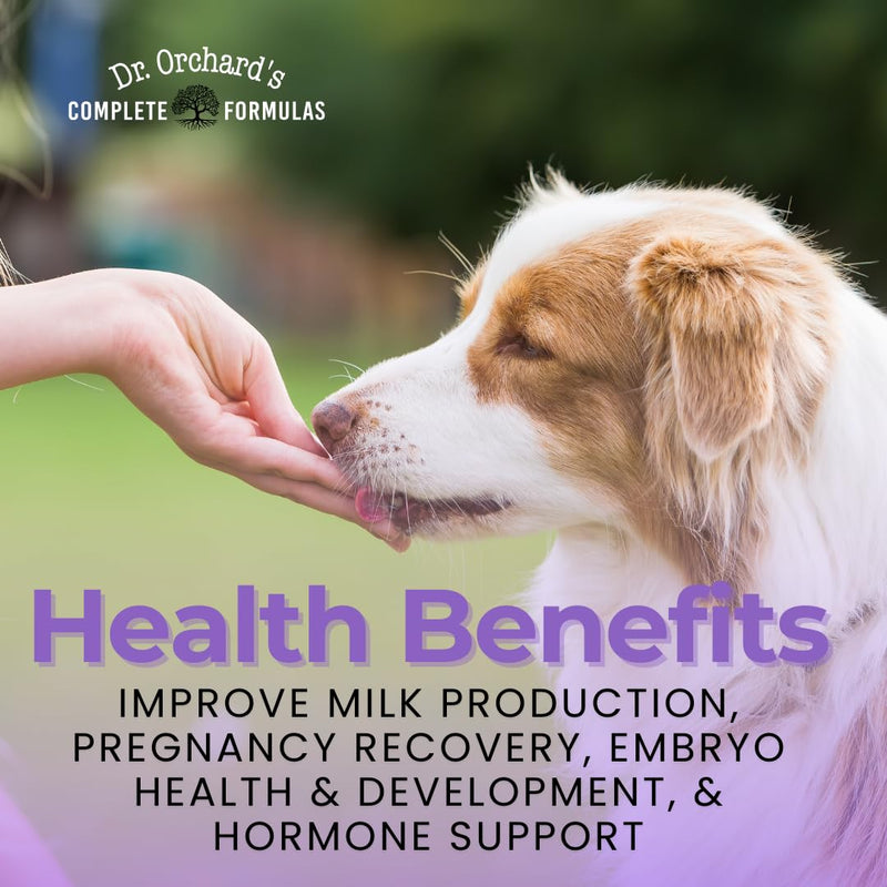 Dr Orchards Pregnancy Pro Dog Prenatal Vitamins - Premium Dog Supplement for Pregnancy, Prenatal + Postnatal, Lactation and Newborn Health Support, 90 Ct - PawsPlanet Australia