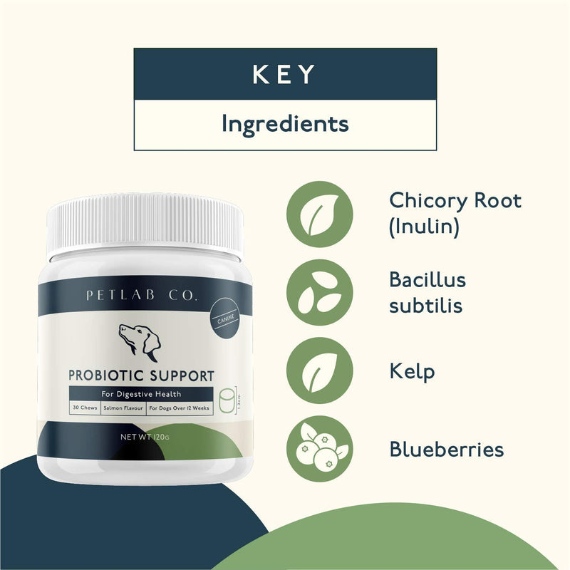 Petlab Co. Dog Probiotic Chew Supplement | Supports Gut Health & Body’s Natural Defences | Probiotics For Dogs – Formulated WIth Inulin, Bacillus subtilis, Kelp & Blueberries - PawsPlanet Australia