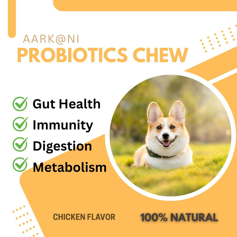Aarkani Probiotics Chew+ – Natural Digestive & Immune Support for Dogs | 100 Soft Chicken-Flavored Chews