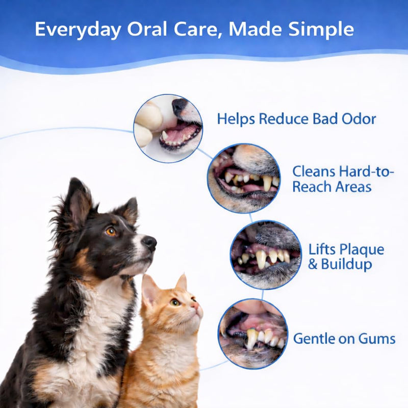 4 Pack Stainless Steel Pet Dental Tools for Dogs and Cats, Professional Tartar Remover Scraper Kit for Teeth Cleaning, Plaque and Calculus Control, Oral Care Hygiene for Home or Vet Use