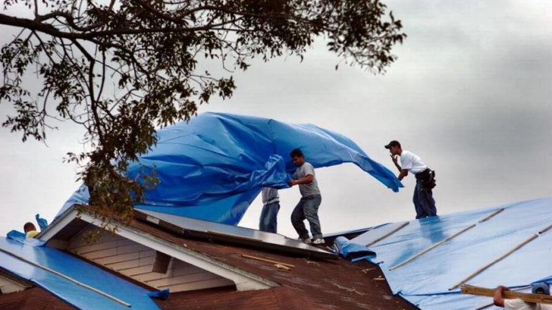 5 in a Pack, Maximize Value, Minimize Cost, Multipack Advantage with Budget-Friendly Poly Tarps, 2.5 Mil Cheap Large Light Tarp, Multipurpose Waterproof Protective Cover, 6x8 Feet, Blue 6' x 8'