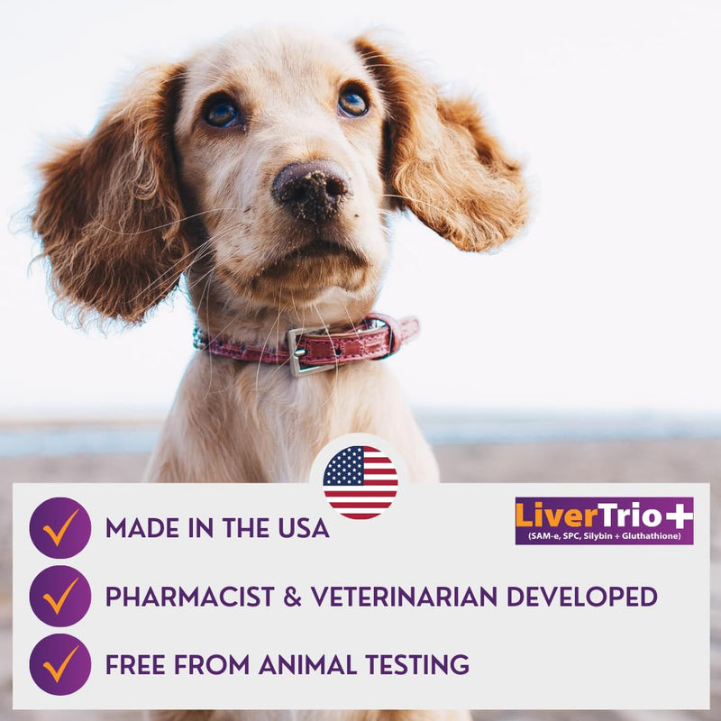 Comprehensive Liver Support Supplement for Large Dogs. Flavorful Chewable Tablets Combining Same, SPC, Silybin A+B, + Glutathione 30Ct (Large) Large (Dogs) - PawsPlanet Australia