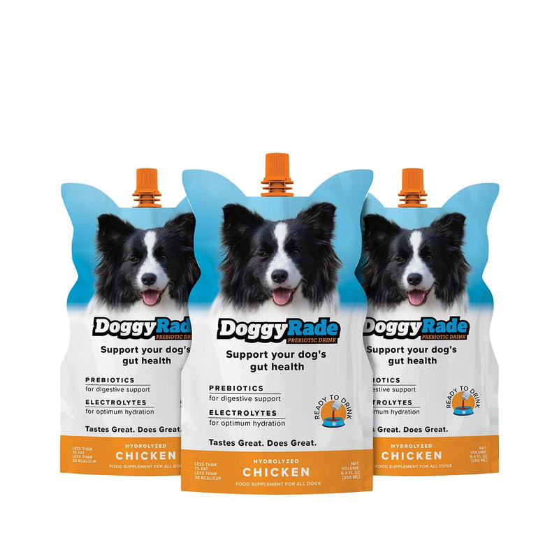 DoggyRade – Dog Sports Drink (Prebiotic, Isotonic Drink for Dogs) | Electrolytes, Nutrients & Amino Acids | Quick Hydration Drink for Dogs + Low Cal | More Than Just Water! | Chicken Flavor | 3x250ml DoggyRade (250ml x 3)