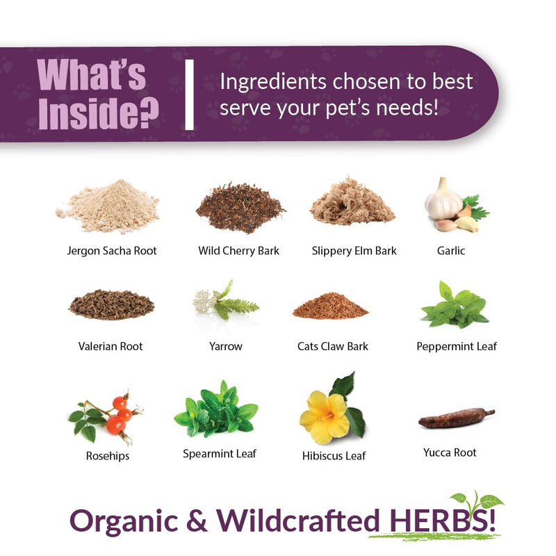 Amber NaturalZ Adizone Herbal Supplement for Dogs | Canine Herbal Supplement for Occasional Soreness, Stiffness, Aches and Discomfort | 1 Fluid Ounce Glass Bottle | Manufactured in The USA 1 Ounce - PawsPlanet Australia