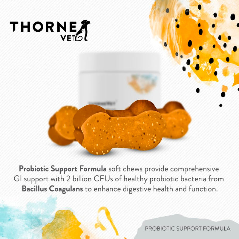 ThorneVET Probiotic Support Formula – Gastrointestinal Support for Dogs, Cats & Horses 60 Soft Chews - PawsPlanet Australia