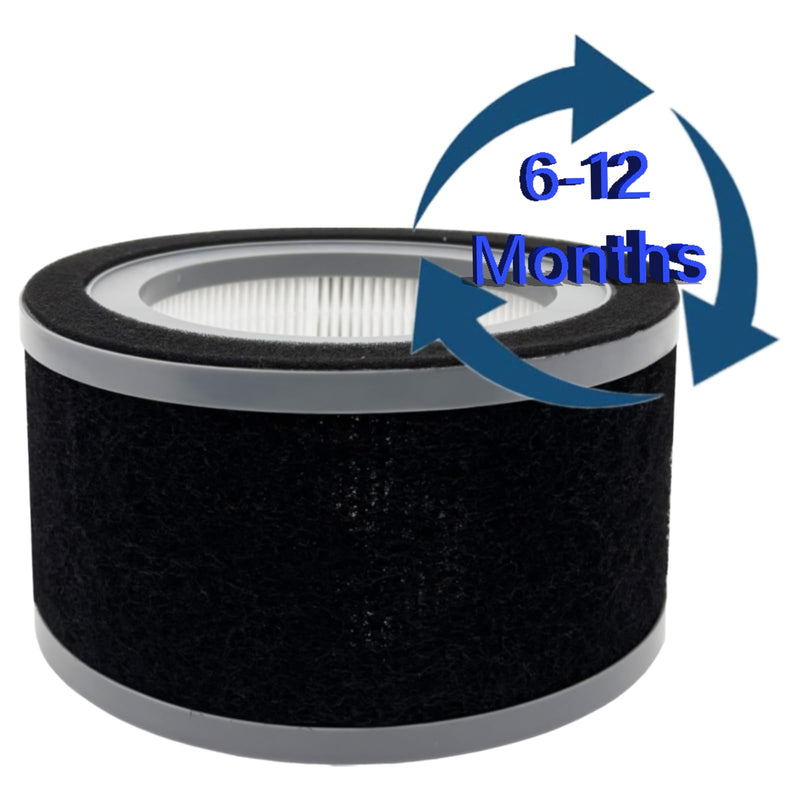 2 Pack FLT4200 Filter for GermGuardian AC4200 and AC4200W Air Purifier