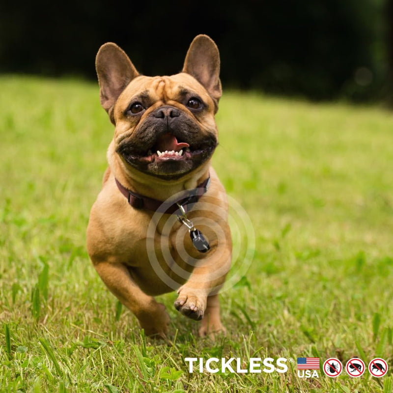 Tickless Pet Ultrasonic Anti Tick Bite and Flea Spread Device Black | Fragrance-Free Protection for Cats and Dogs Lasts 6 Months | On Collar and Harness