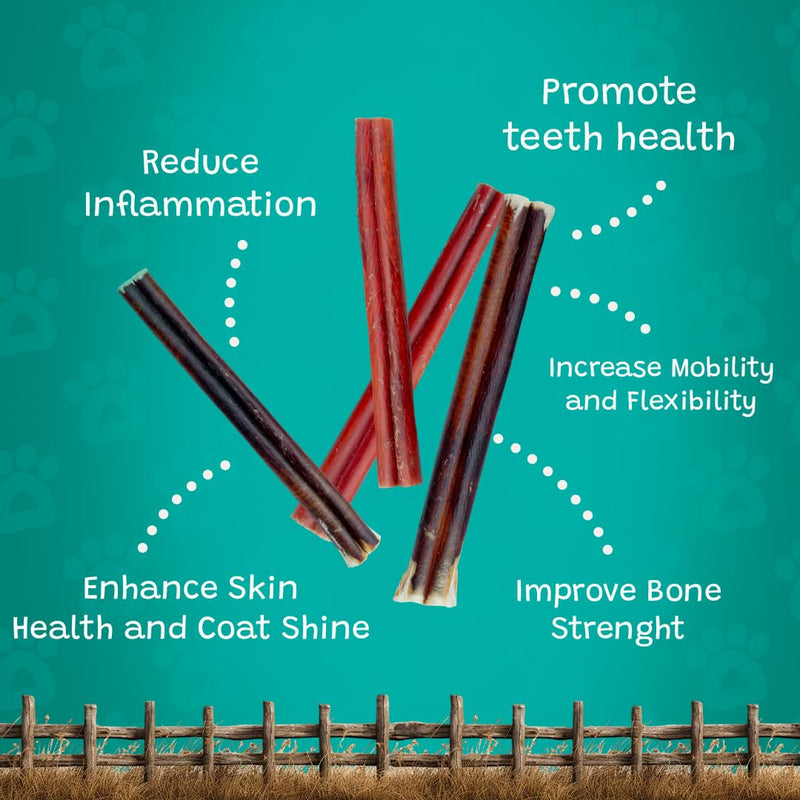 Collagen Sticks for Dogs 6" - 10 Count - Long Lasting Dog Chews, Rawhide Alternative, Single Ingredient, Bully Stick Alternative, Dental Support Treats for Small, Medium & Large Dogs