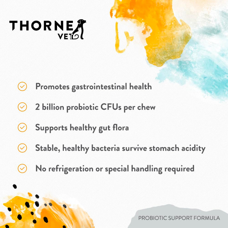 ThorneVET Probiotic Support Formula – Gastrointestinal Support for Dogs, Cats & Horses 60 Soft Chews - PawsPlanet Australia
