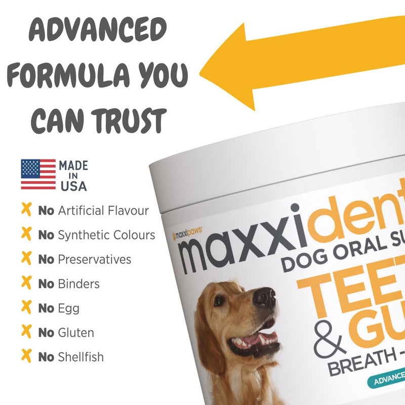 maxxipaws maxxidental Dog Dental Powder | Oral Care Supplement for Teeth, Gums, Plaque, Tartar and Fresh Breath | Kelp, Zeolite, Papain, Probiotics | Easy Sprinkle Formula | 5 oz