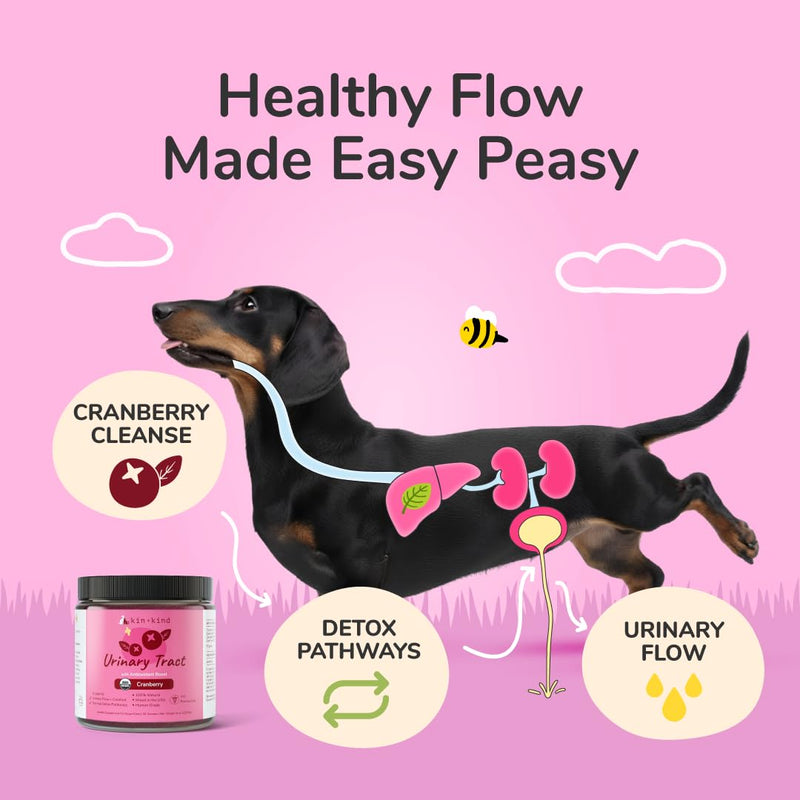 kin+kind Pet Vitamins and Supplements - Immune Support Supplement for Dogs & Cats - Natural Dog Supplements & Cat Supplements w/Organic Ingredients for Healthy Immunity - Made in USA - 3x4 oz Medium Bundle (3 x 4 oz)