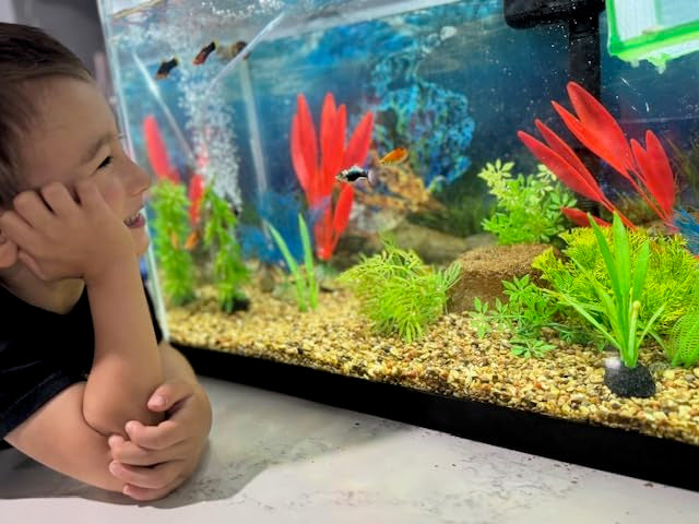 Aquarium Stone for Natural Water Clarification and Odor Removal Featuring Beneficial Bacteria (Nano) 1 Pack Nano