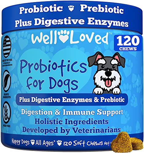 Well Loved Probiotics for Dogs & Well Loved Dog Allergy Chews Bundle, Vet Developed, Made in USA