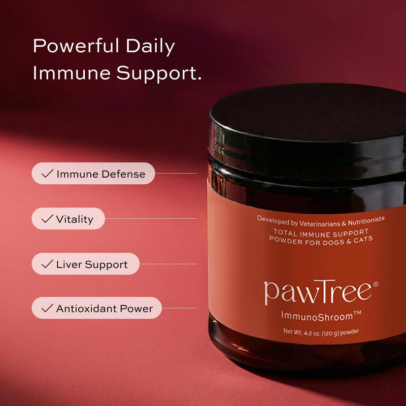 pawTree ImmunoShroom™ Immune System Support Supplement for Dogs & Cats – 5 Medicinal Mushrooms, Colostrum, Turmeric & Antioxidants – Supports Vitality & Cellular Health – Vet-Developed