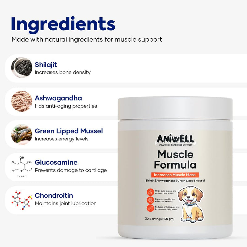 Muscle Formula for Dogs: with Shilajit Ashwagandha and Green Lipped Mussel | Glucosamine Chondroitin Hip and Joint Support | Muscle Strength and Mobility Pack of 1