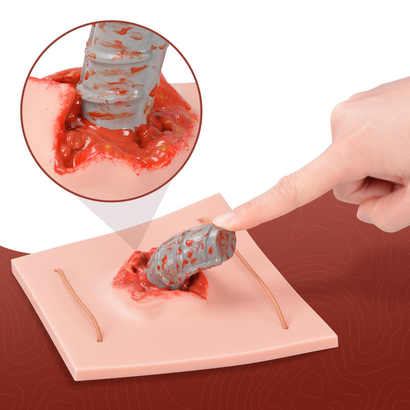 Wound Packing Trainer, Wearable Puncture Wound Trainer for Realistic Wound Dressing Practice, Foreign Object Wound Care Training Simulator