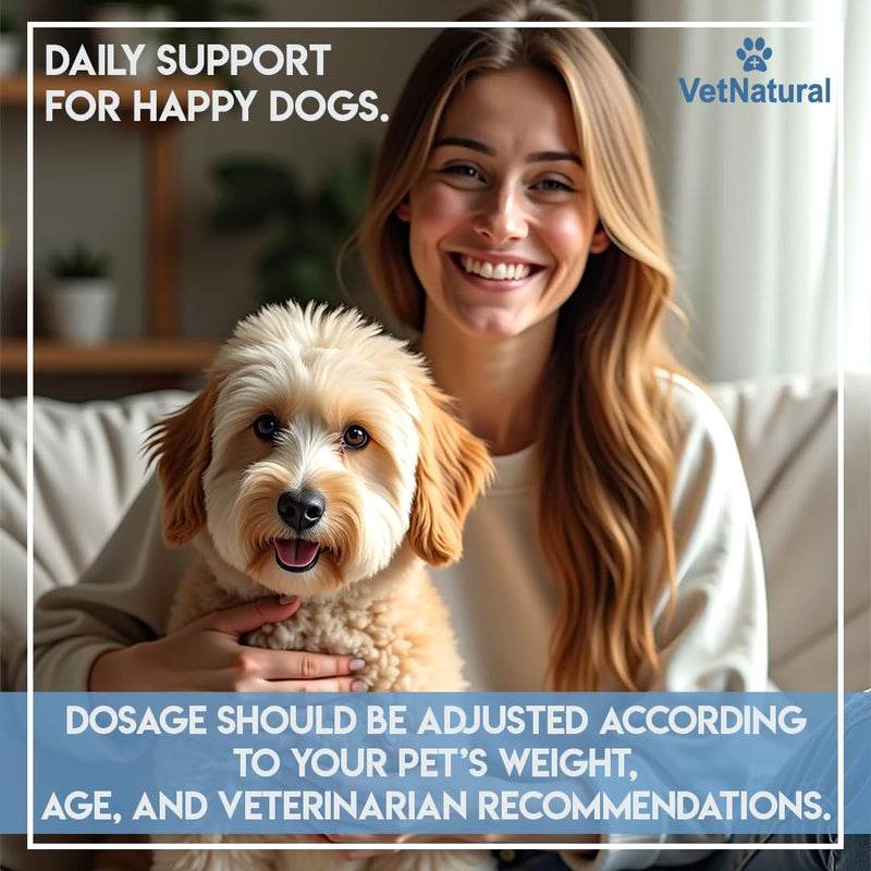 Doggy Supps Taurine for Dogs, 99.99% Pure Taurine Powder – Immune Support, Boost Energy, Skin & Coat Health for Heart, Vision & Daily Wellness – Easy to Mix in Food, Includes Measuring Spoon