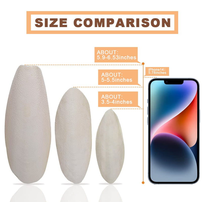 6.29"-7" Large Cuttlebone for Birds, Parakeets Cuddle Bone, Cuttlefish Bone for Sharp Beaks, Natural Calcium for Parrots Tortoise, 4pcs - PawsPlanet Australia