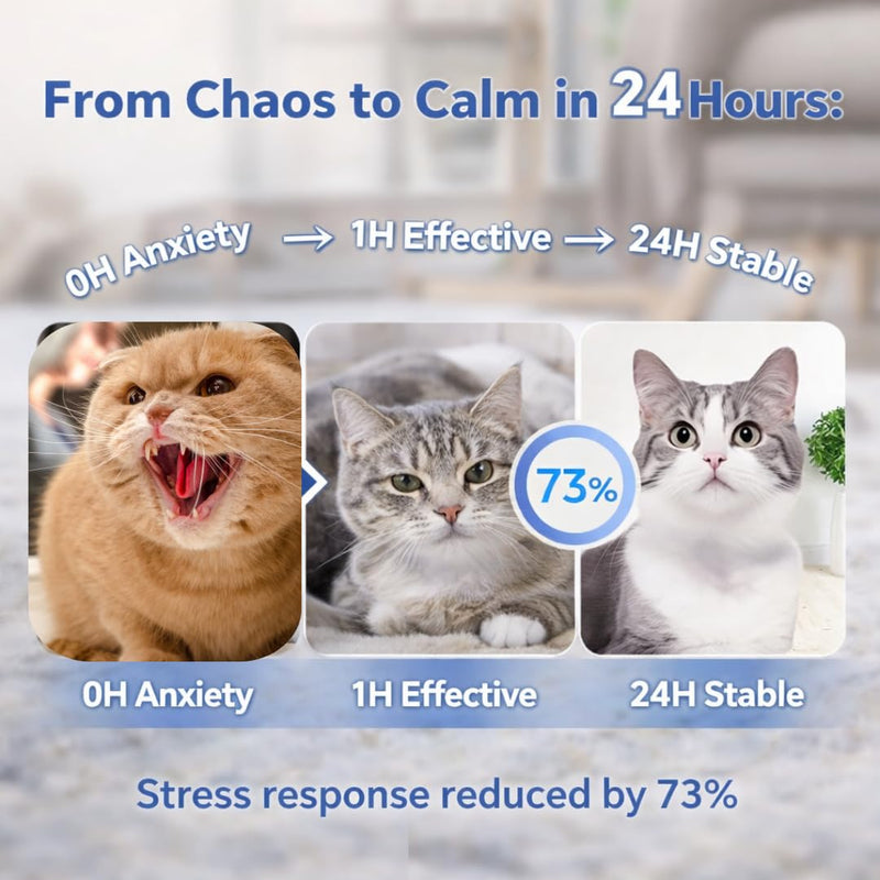 Cat Calming Pheromone Stickers (6 PCS), Natural Plant Essential Oil Diffuser Patches, Anxiety & Stress Relief for Cats, Vet Visits & Travel Essentials, 4-Bead Design for 72+ Hour Relief